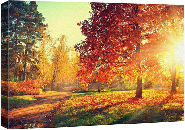 Canvas Print Wall Art Path through Red & Orange Autumn Park Nature Wilderness Photography Modern Art Rustic Scenic Colorful Multicolor for Living Room, Bedroom, Office - 16"X24"